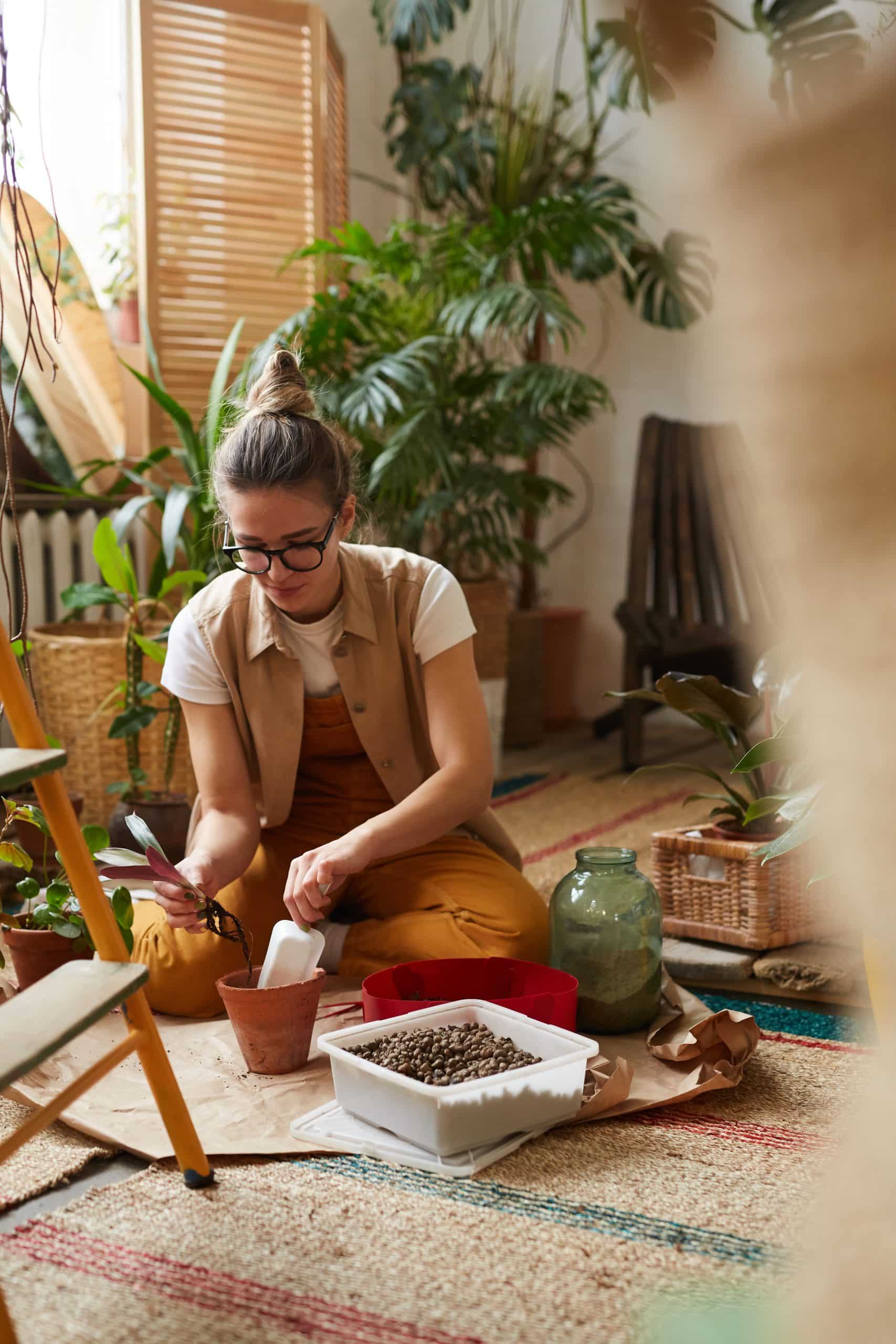 les astuces pour bien choisir et entretenir vos plantes dintérieur