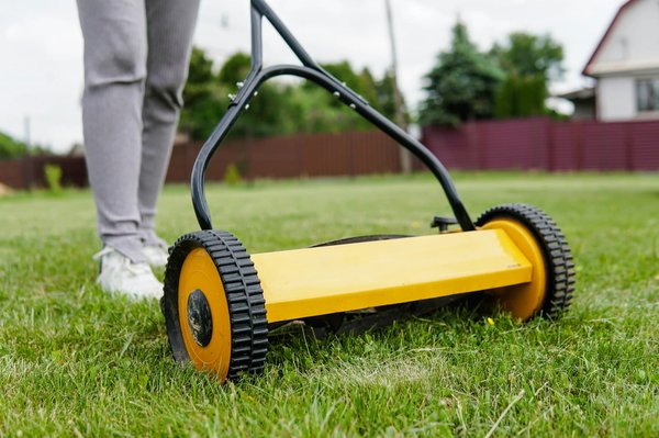 Désherbeur : guide pour un jardin impeccable